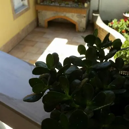 Kous Apartment Corfu (city)