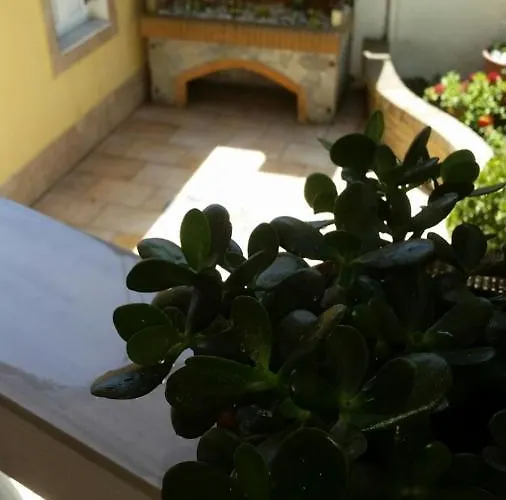 Kous Апартаменты Corfu (city)